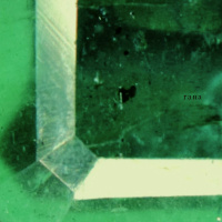 Rana - Japanese Garden walk