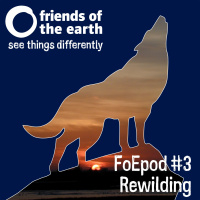 Friends of the Earth Podcast Episode 3 from the archive: Rewilding