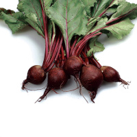 Episode 39: Two Johns Podcast : 2.17.2021 Interview with Jeff Van Drunen, President of Sur PhytoPerformance