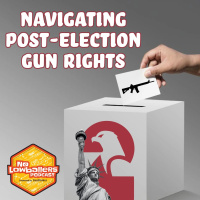 No Lowballers - Navigating Post-Election Gun Rights