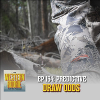 Western Rookie - Predictive Draw Odds