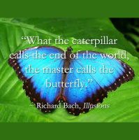 Caterpillars, Butterflies And The Future of Work