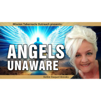 I See Angels | Part 1 of the Angel Unaware series