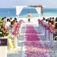 Episode 15: Micro Podcast Series : Destination Weddings: Where Love and Business Unite