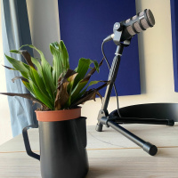 Jakso 64: Pohjoismaisten kahvitapahtumien ja maustettujen kahvien paluu