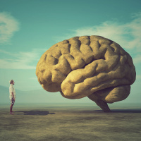 Understanding Morality - Part 2