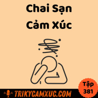 Chai Sạn Cảm Xúc: Hậu Quả Của Sự Ổn Định - Tri Kỷ Cảm Xúc #381