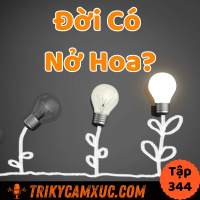 Phải Ít Nhất 1 Lần Nở Hoa - Tri Kỷ Cảm Xúc #344