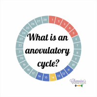 #285 What Is An Anovulatory Cycle?
