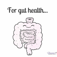 #154 Some facts and insight to help you understand your gut