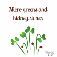 #133 Microgreens and kidney stones