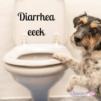 #136 Diarrhea eeek