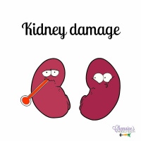 #147 Kidney damage part 2