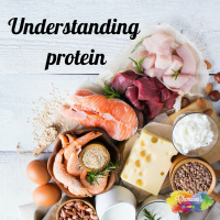 #156 Understanding the importance of protein