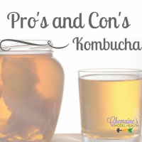 #034 Pros  Cons of Kombucha