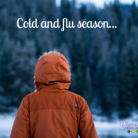 #098 Cold and flu season Part 2 - supplements for the immune