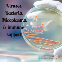 #149 Bacteria, Viruses, Micoplasma  the immune system