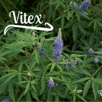 #192 The dos and donts of Vitex
