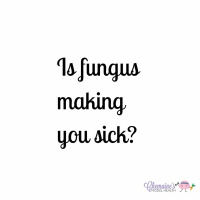 #139 Is fungus making you sick