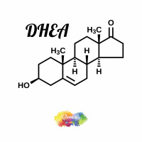 #304 DHEA spotlight.