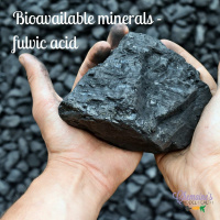 #137 Bioavailable minerals - fulvic acid and how to optimize minerals in your diet