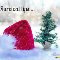 #141 Holiday stress and survival tips revisited
