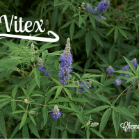 #095 Vitex or Chaste berry for women