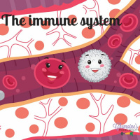 #094 The immune system
