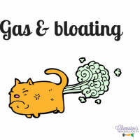 #053 Gas  Bloating