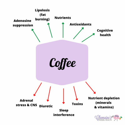 Find Your Model Health!