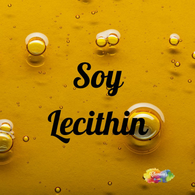 Find Your Model Health!