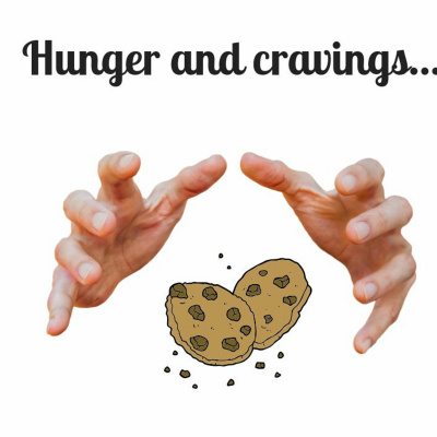 Find Your Model Health!