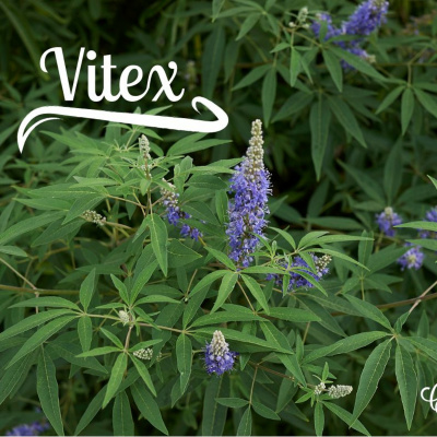 Find Your Model Health!