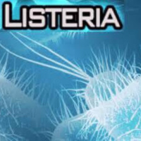 Ugonjwa wa Listeria