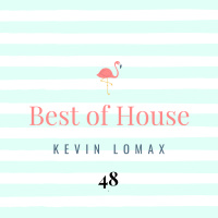 Kevin Lomax - Best of House #48