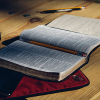 Reading The Bible For All Its Worth