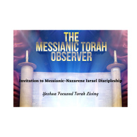 Invitation to Messianic Discipleship-From the Sinners Prayer to True Messianic Discipleship