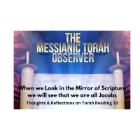 When we Look in the Mirror of Scripture we will see that we are all Jacobs-Thoughts Reflections on Torah Reading 33