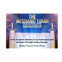 Avivs Prophetic Shadows of our Redemption and Salvation Through Yeshua Messiah
