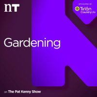 Garden Stories: The History of St Stephen’s Green