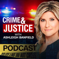 The manhunt: FBI treating serial bomber as domestic terrorism.