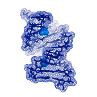 Ep. 14: On the face of it, RNA is a terrible drug target