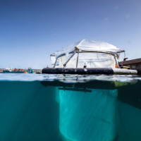 CEN Uncovered: Can altering ocean chemistry fight climate change?