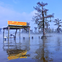 CEN Uncovered: The battle for Lake Maurepas