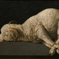 03/09/25 Reunited in the Hope of the Gospel (Colossians 1:21-23)