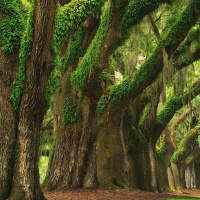 08/20/23 Called Out and Welcomed In (Exodus 3:1-12 and Exodus 8:1)