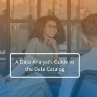 A Data Analyst’s Guide To The Data Catalog - Audio Blog