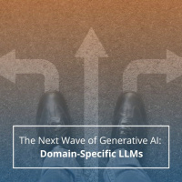 The Next Wave of Generative AI: Domain-Specific LLMs - Audio Blog