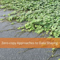 Zero-Copy Approaches To Data Sharing - Audio Blog