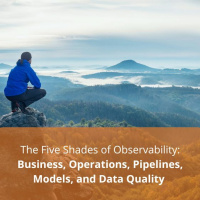 The Five Shades of Observability: Business, Operations, Pipelines,  Data Quality - Audio Blog